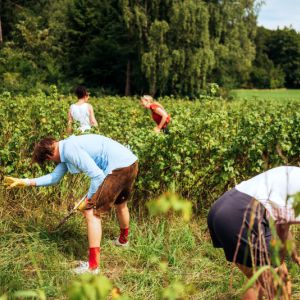 Geburtstagsfeier auf der Alm 